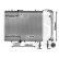 Radiator, engine cooling *** IR PLUS *** 40002269 International Radiators Plus, Thumbnail 3