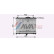 Radiator, engine cooling PE2423 Ava Quality Cooling, Thumbnail 2
