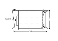 Radiator, engine cooling VN2044 Ava Quality Cooling