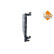 Radiator, engine cooling, Thumbnail 5