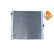 Radiator, engine cooling, Thumbnail 2