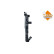 Radiator, engine cooling, Thumbnail 5