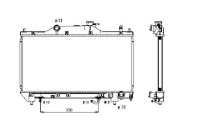 Radiator, engine cooling