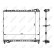 Radiator, engine cooling, Thumbnail 5