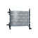 Radiator, engine cooling, Thumbnail 3