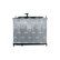 Radiator, engine cooling, Thumbnail 4