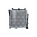 Radiator, engine cooling, Thumbnail 3