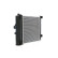 Radiator, engine cooling, Thumbnail 9