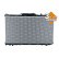 Radiator, engine cooling, Thumbnail 4