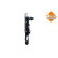 Radiator, engine cooling, Thumbnail 5