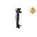 Radiator, Thumbnail 5