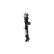Radiator, Thumbnail 4