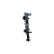 Radiator, Thumbnail 4