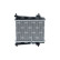 Radiator, Thumbnail 3