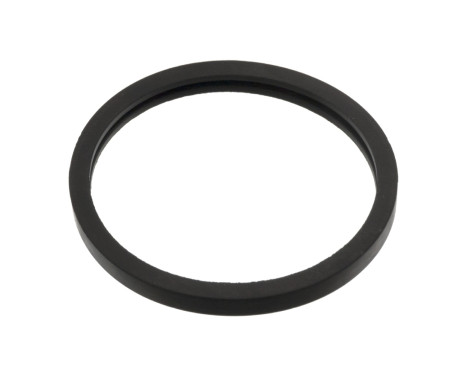 Gasket, thermostat 05156 FEBI