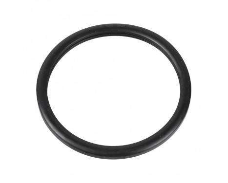 Gasket, thermostat 10255 FEBI