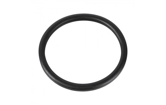 Gasket, thermostat 10255 FEBI