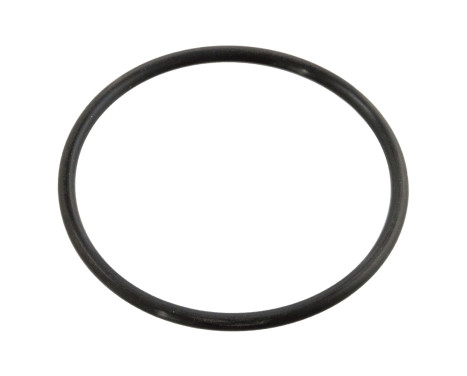 Gasket, thermostat 10258 FEBI