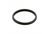 Gasket, thermostat 10260 FEBI