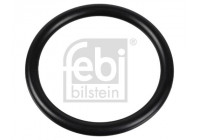 Gasket, thermostat 174322 FEBI