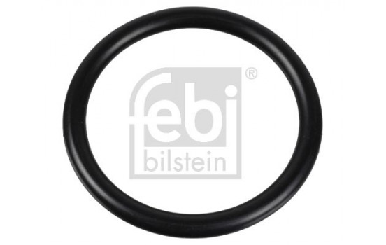 Gasket, thermostat 174322 FEBI