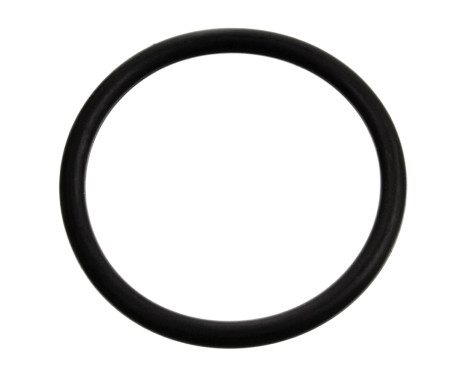 Gasket, thermostat 17970 FEBI