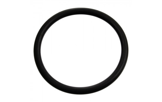 Gasket, thermostat 17970 FEBI
