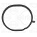 Gasket, thermostat housing B22.100 Elring, Thumbnail 2