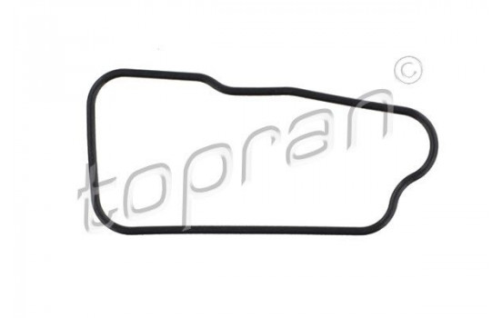 Gasket, thermostat housing
