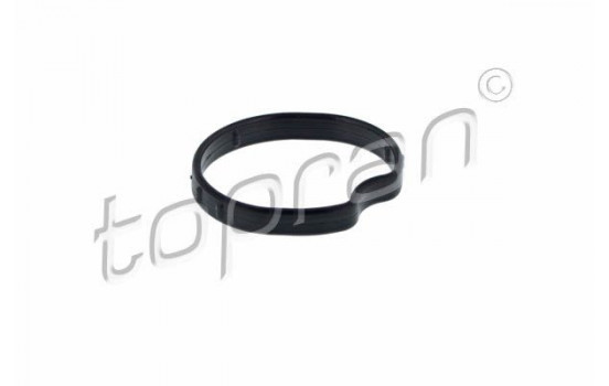 Gasket, thermostat housing