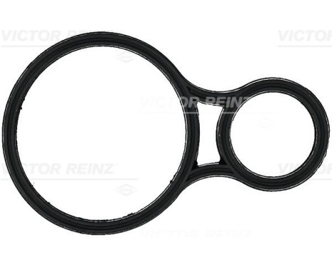 Gasket, thermostat housing