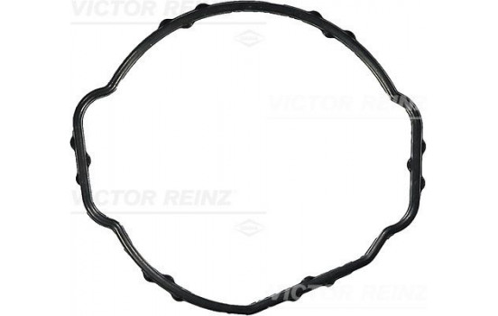 Gasket, thermostat housing