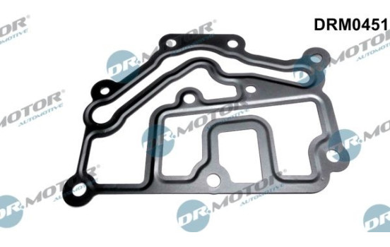 Gasket, thermostat housing