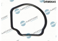 Gasket, thermostat housing
