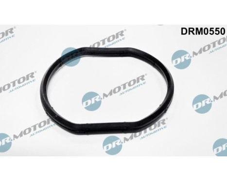 Gasket, thermostat housing