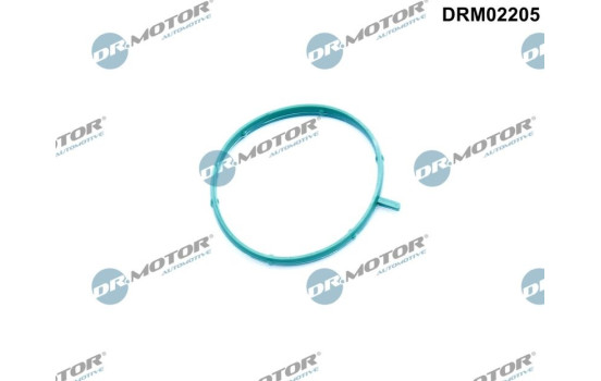 Gasket, thermostat housing