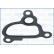 Gasket, thermostat housing