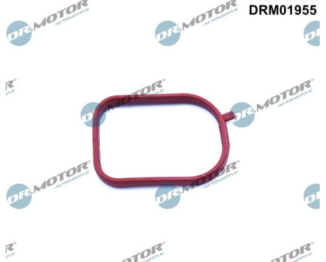 Gasket, thermostat housing