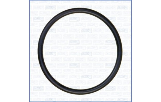 Gasket, thermostat