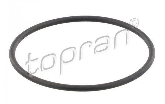 Gasket, thermostat