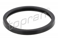 Gasket, thermostat