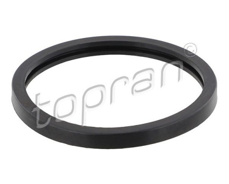 Gasket, thermostat