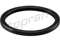 Gasket, thermostat