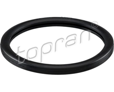 Gasket, thermostat