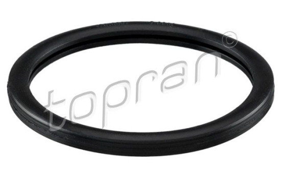 Gasket, thermostat
