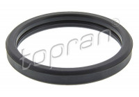 Gasket, thermostat