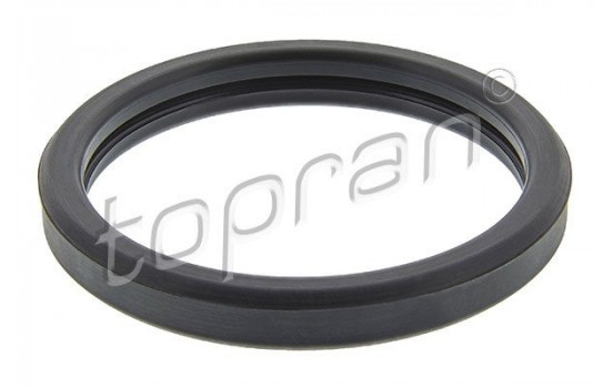 Gasket, thermostat