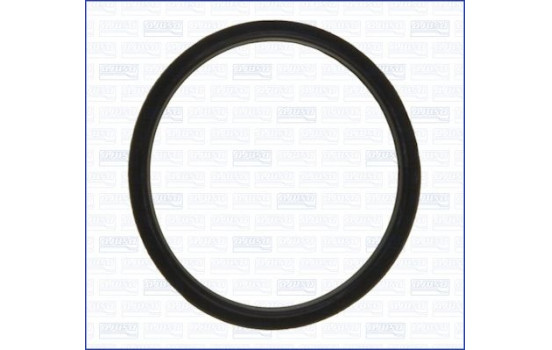 Gasket, thermostat