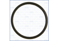 Gasket, thermostat