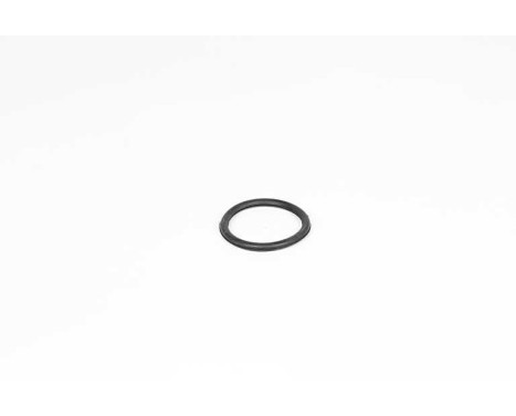 Gasket, thermostat, Image 2